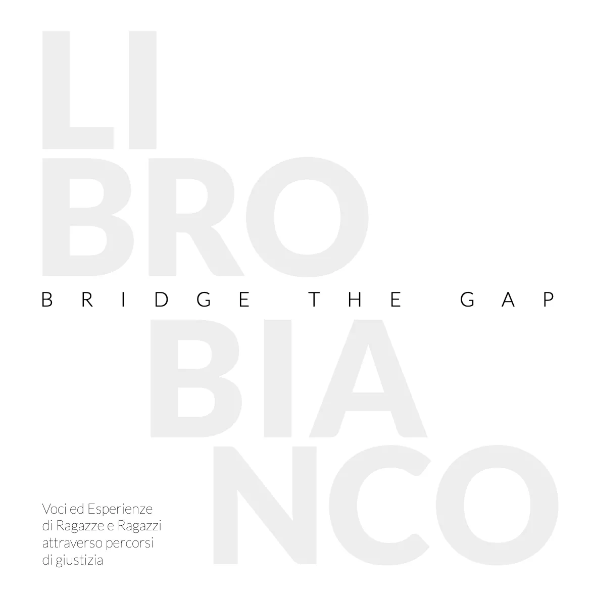 Libro Bianco - Bridge The Gap
